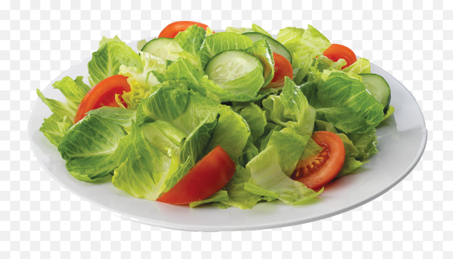 Download Salad Png Image 1 - Vegan Starter Pack Meme,Salad Png