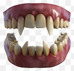 Fangs Archives - Mythic Stock Dentures png