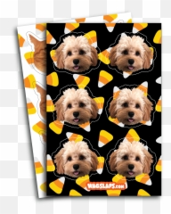 Candy Corn Stickers - Cavachon Png,Candy Corn Transparent