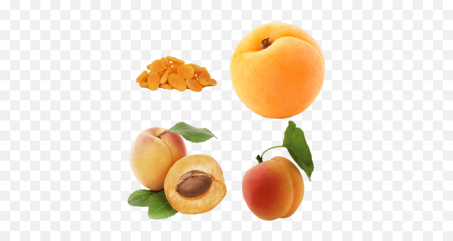 Fruits Transparent Png Images - Stickpng Rex Orange County Apricot,Fruits Png
