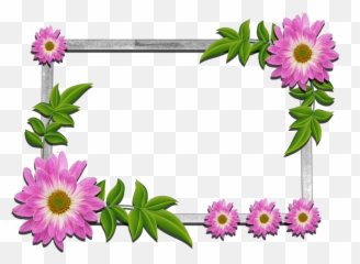 Library Of Free Flower Frame Download Png Files - Beautiful Frames