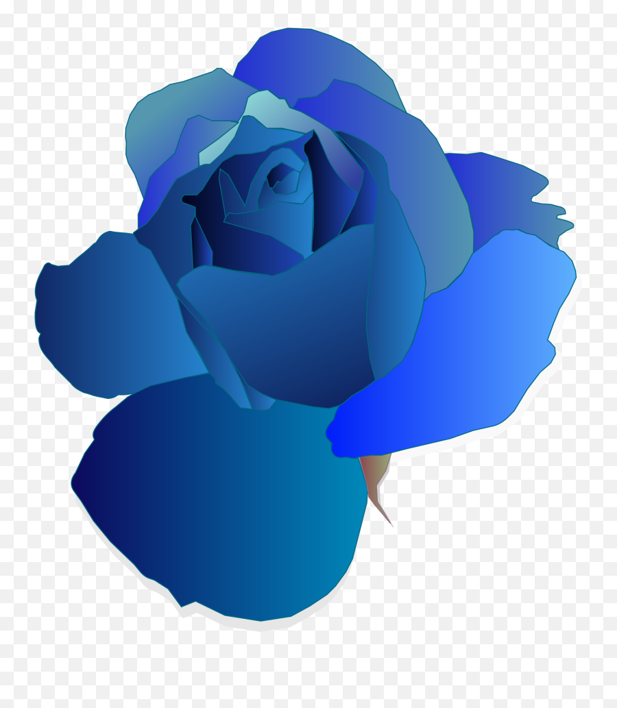 Download Blue Rose Clipart Transparent - Blue Roses Clipart Png,Rose Clipart Transparent Background