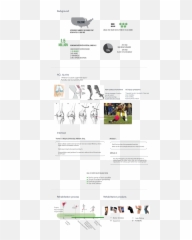 Athlete Knee Injury Rehabilitation Assistance Design Behance - Nordic Walking png