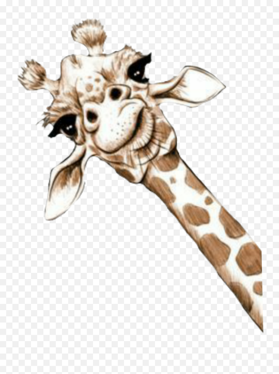 Giraffes Sticker - Art Giraffe Png,Giraffe Icon