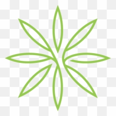 Leaves - Language png