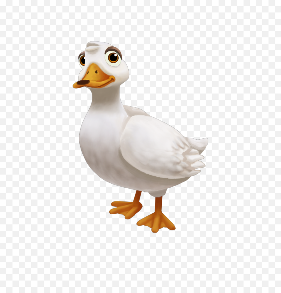 Download Duck Png File 164 - Duck Images Png,Duck Png