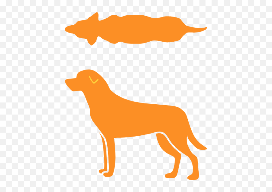 Calorie Calculator For Dogs And Cats Pet - Dog Png,German Shepard Puppy Icon