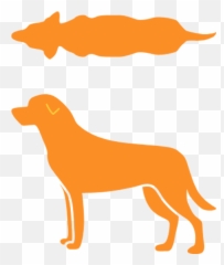 Calorie Calculator For Dogs And Cats Pet - png
