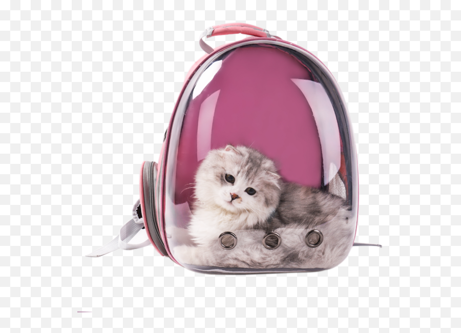 Us 2811 20 Offcat Bag Out Portable Panoramic Transparent Cat Backpack Space Pet Cabin With Dog Shoulder Cage Bags For Small Dogs - Kitten Png,Cage Transparent