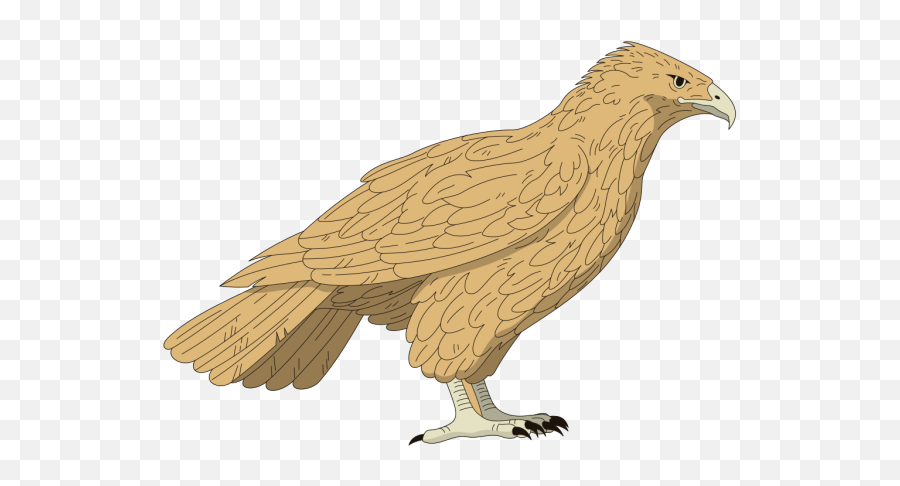 Brown Feathered Falcon Png Svg Clip Art For Web - Download Hawk Clip Art,Prey Icon