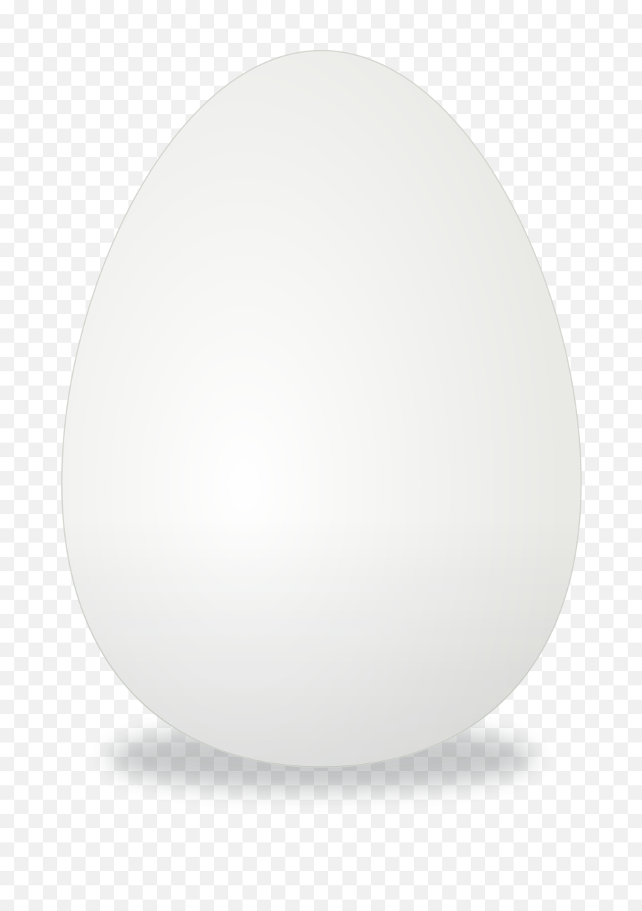 Eggs Png Image Free Download Pictures Of - White Egg Png,White Oval Png