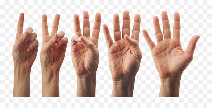 Hand Palm Fingers Png