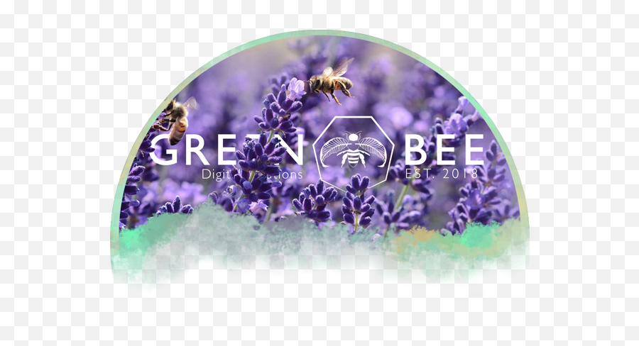 Graphic U0026 Print Design - Green Bee Digital Solutions Löwenmaul Pflanzen Png,Bumblebee Logo