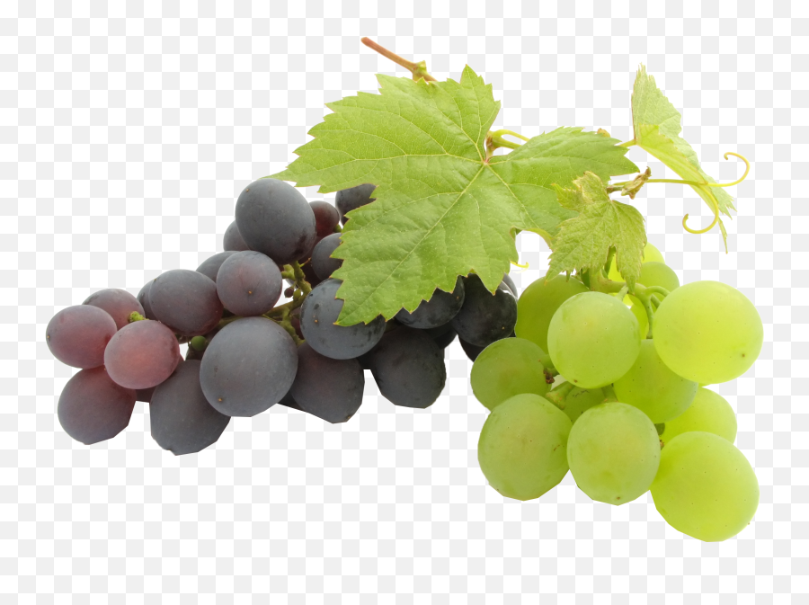 Best Pure Grape Seed Oil - Background Grape Seed Oil Png,Grapes Png