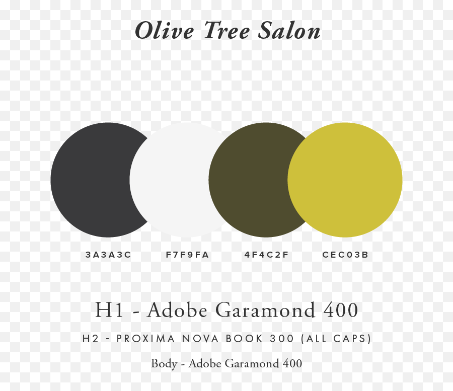 Olive Tree Salon U2014 Outset Design Co - High 5 Bread Png,Olive Tree Png