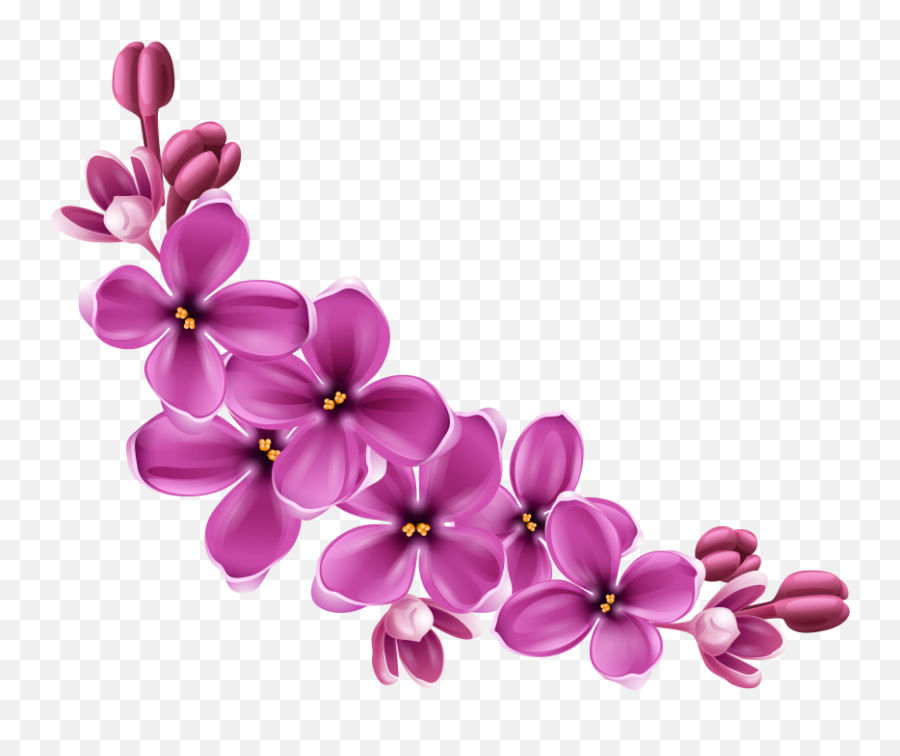 Download Free Png Flowers - Free Png Images Toppng Transparent Background Flowers Png,Real Flowers Png