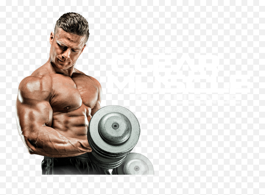 Dumbbell Clipart Male Fitness - Body Builder Png,Fitness Png
