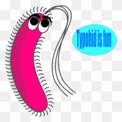 Funny Germs Cliparts - Gram Positive Bacteria Cartoon Png Gram Negative Clip Art,Bacteria Transparent Background