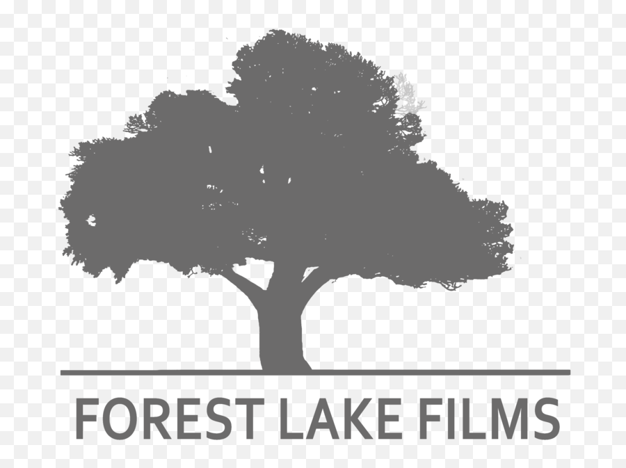 Jennifer Lawrence Stella Artois Interview U2014 Forest Lake Films Png