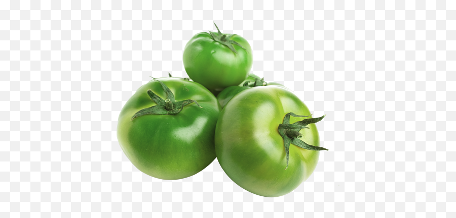 Download Hd Tomate Verde Orgánico - Tomato Transparent Png Tomates Verdes Png,Tomato Slice Png