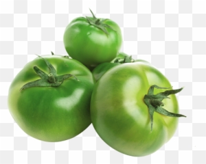 Download Hd Tomate Verde Orgánico - Tomato Transparent Png Tomates Verdes Png,Tomato Slice Png