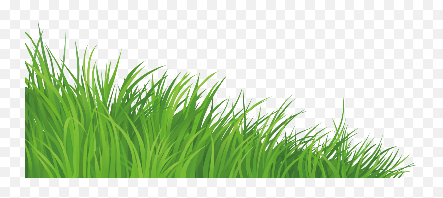 Green Grass Silhouette Png - Transparent Background Grass Clipart,Grass Silhouette Png