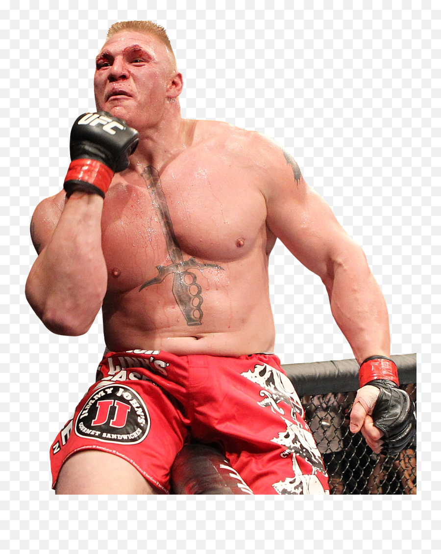 Tate Vs - Best Heavyweight Ufc Fighters Png,Brock Lesnar Transparent