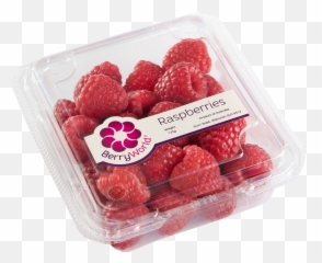 Download Raspberry Punnet Etch 700x700 - Berryworld Frutti Di Bosco Png,Raspberries Png
