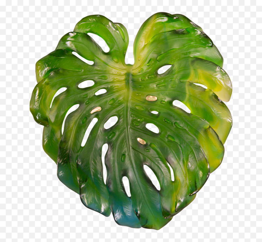Monstera Large Wall Leaf Png Image