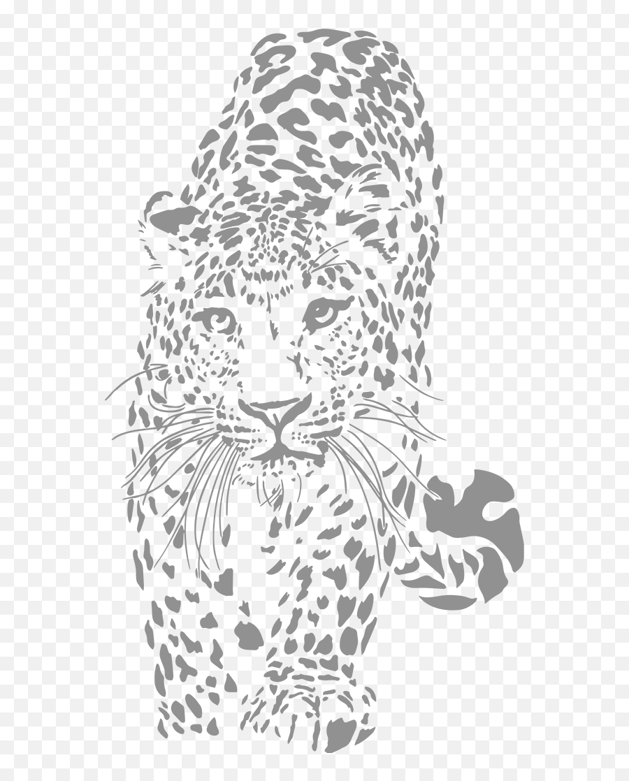 Leopard Print Png - Leopard Pic Graphic Design,Leopard Print Png