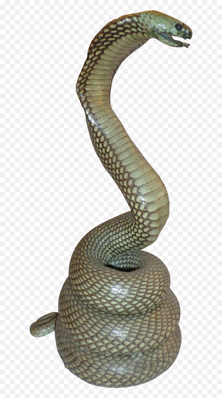 Reptile King Cobra - Snake Statue Png,Rattlesnake Png