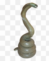 Reptile King Cobra - Snake Statue Png,Rattlesnake Png