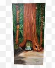 Chevy Bel Air Driving Through Redwood Png Tree