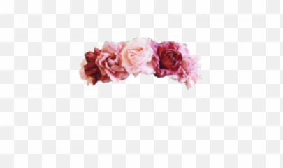 Crown Transparent Tumblr Png Images U2013 Free - Flower