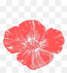 Peach Poppies Clip Art - Flower Clipart Poppy Png,Poppies Png