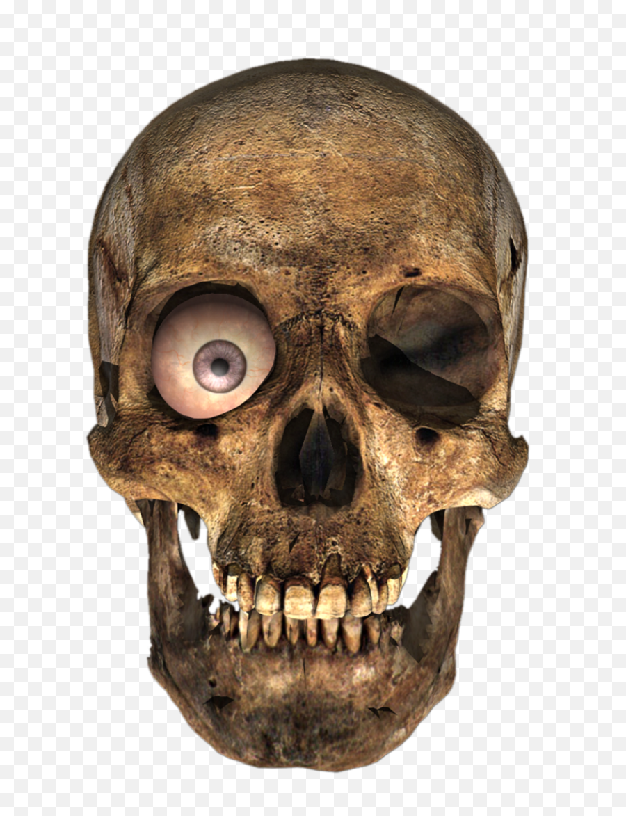 Skull Png Alpha Channel Clipart Images Transparent