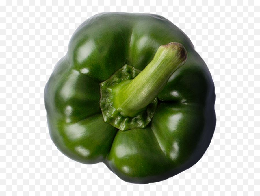 Green Pepper - Green Bell Pepper Png,Green Pepper Png