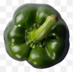 Green Pepper - Bell png