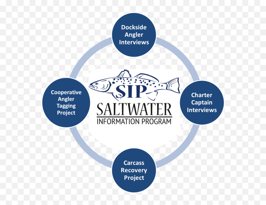 Saltwater Information Program Sip Department Of Natural - Saltwater Fishing Png,Sip & Scan Icon