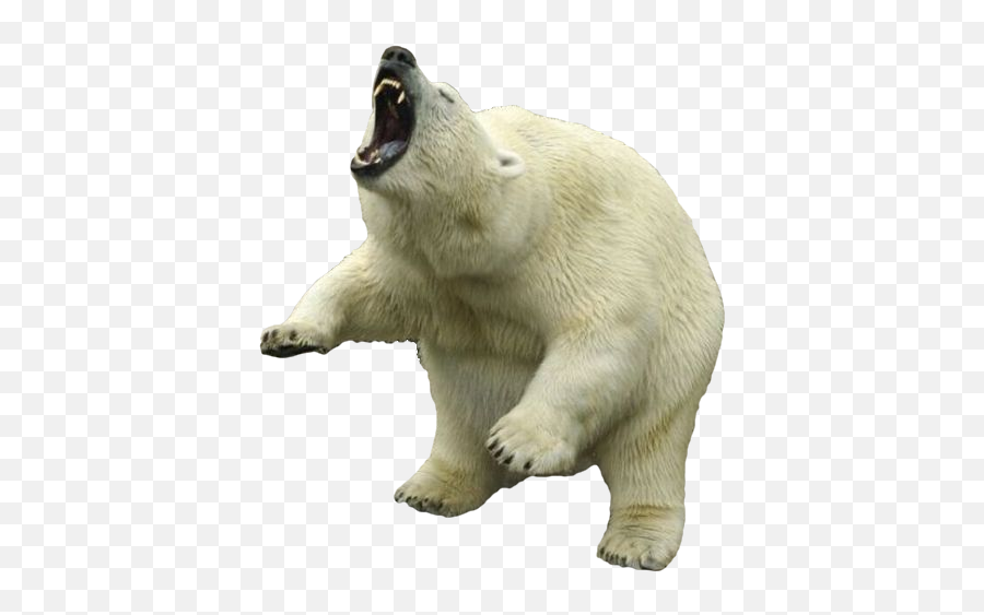 Download Free Polar Bear Clipart Icon - Angry Polar Bear Png,Polar Bear Icon