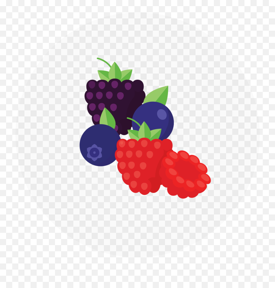 Very Berry Sorbet - Fresh Png,Blueberries Icon