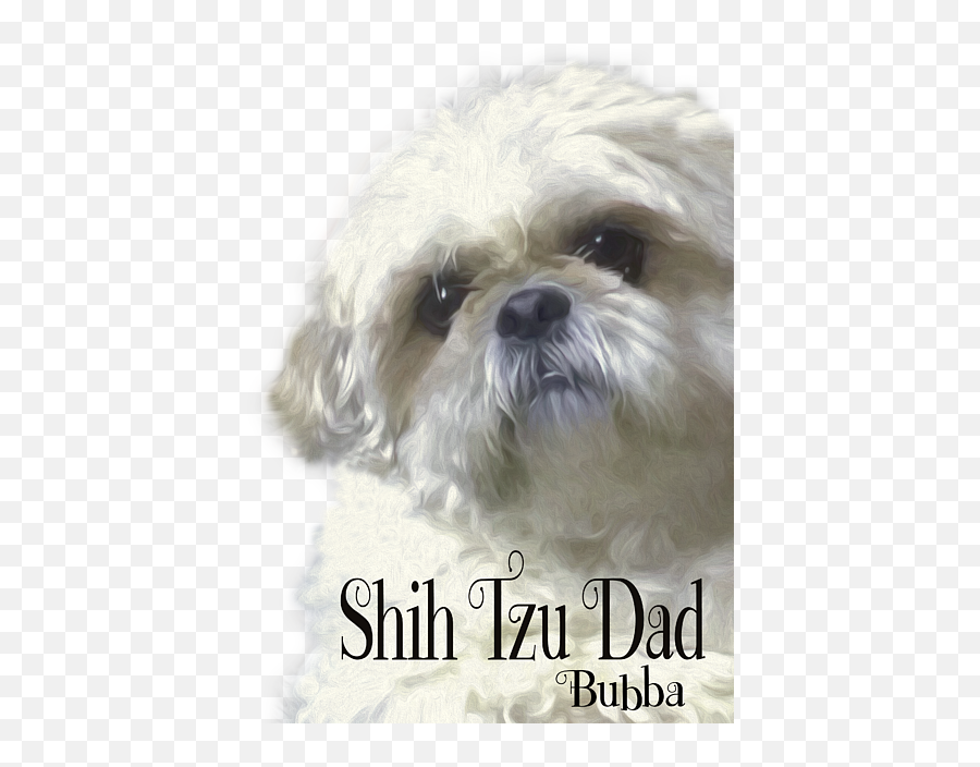 Shih Tzu For Dad - Photo Caption Png,Shih Tzu Icon