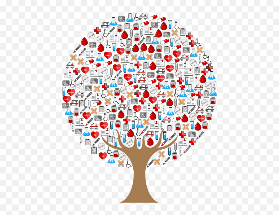 Bandage Public Domain Image Search - Freeimg Medical Tree Png,Jesse Tree Icon