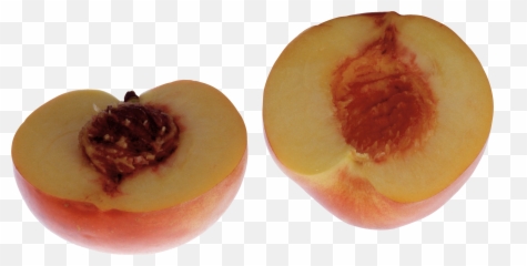 Download Peaches Png Image For Free