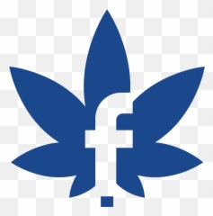 Marijuana Dispensaries In Colorado Strawberry Fields - Language png