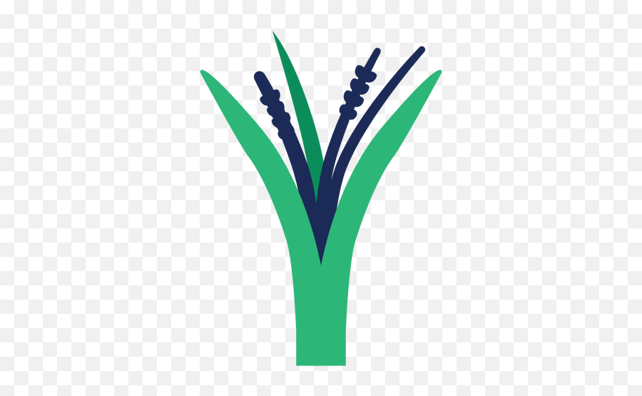 Plant Leaf Bushes Tree Grass Flat - Emblem Png,Bushes Transparent