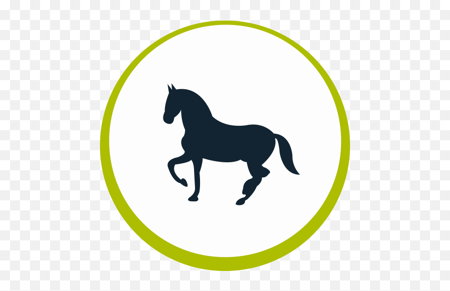 Download Equine - Equine Icon Png,Caballo Png