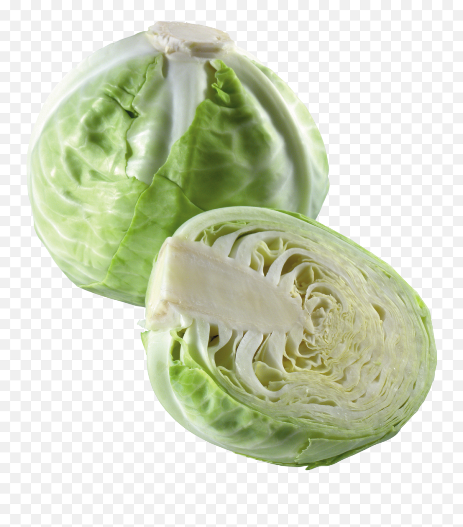 Cabbage Png Image