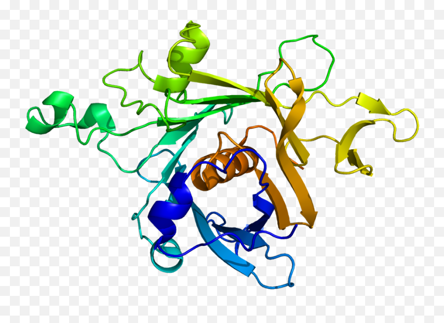 Protein Tub Pdb 1c8z - Clip Art Png,Tub Png