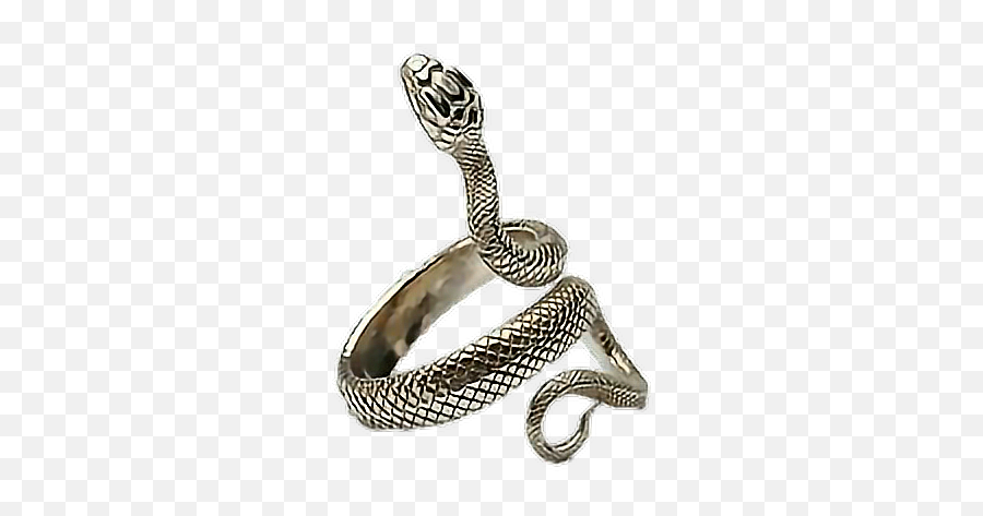 Aesthetic Png Polyvore Jewelry Jewellery Ring Snake - Snake Ring,Serpent Png